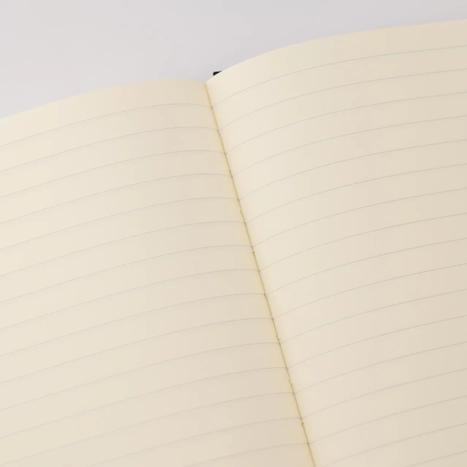 Image of Any Day Now - 2025 Diary - The Freestyler - Ruled - Black & White