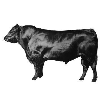 Image for Bull (Left) Wall Decal ALR-LBUL