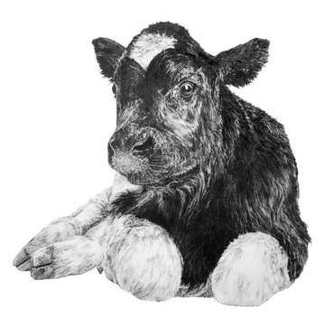 Image for Calf Wall Decal ALR-CALF