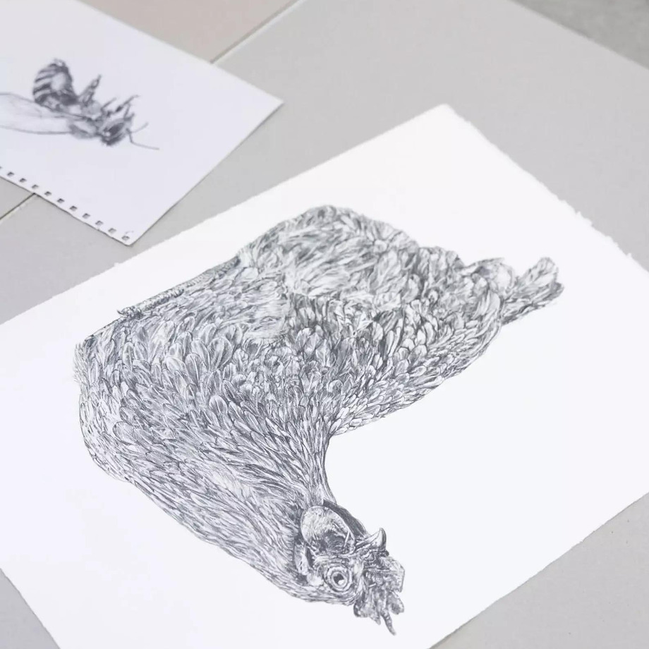 Image of Hen Wall Decal ALR-HEN