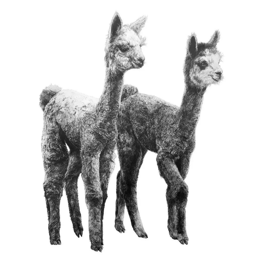 Image of Alpacas Wall Decal ALR-ALPA