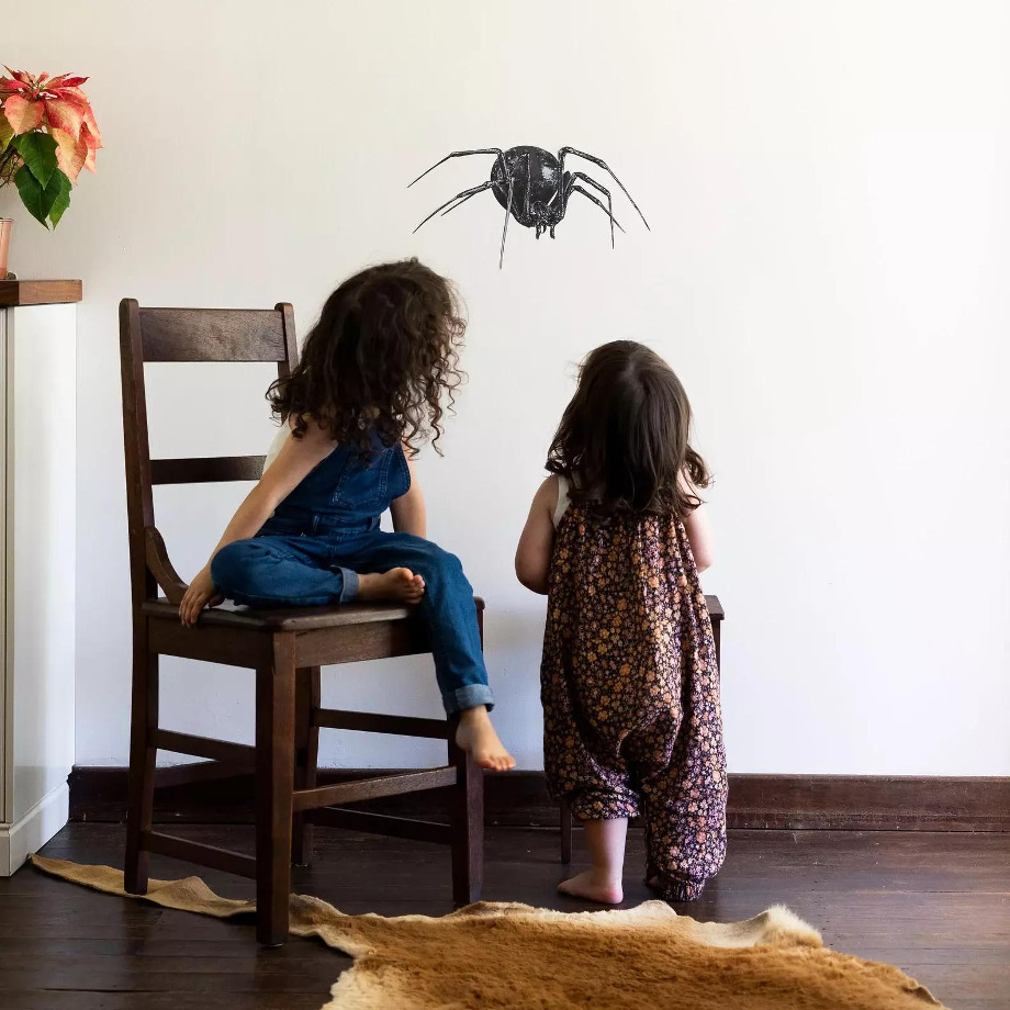 Image of Redback Spider Wall Decal ALR-REDB