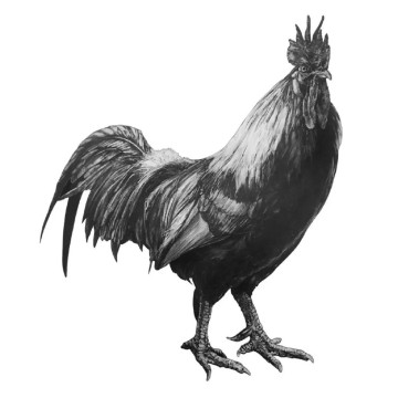 Image for Rooster Wall Decal ALR-ROOS