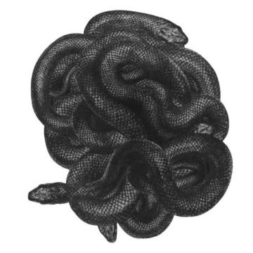 Image for Tiger Snakes Wall Decal ALR-SNAK
