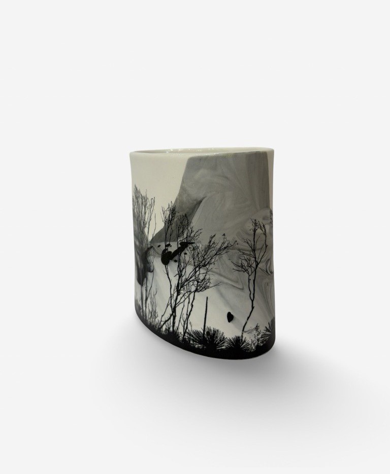Image of After Fire 1 | Sandra Black