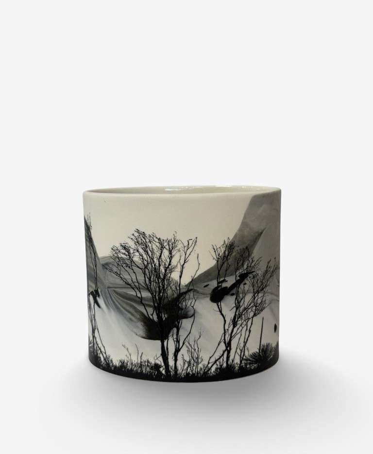 Image of After Fire 1 | Sandra Black