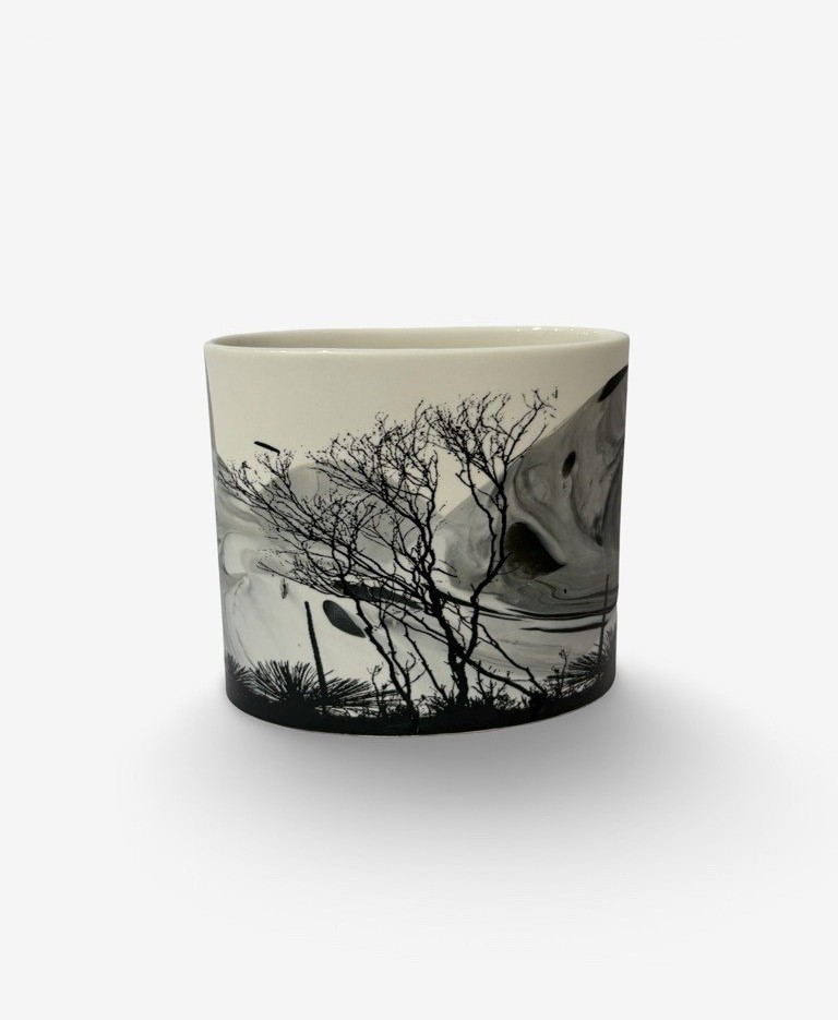 Image of After Fire 1 | Sandra Black