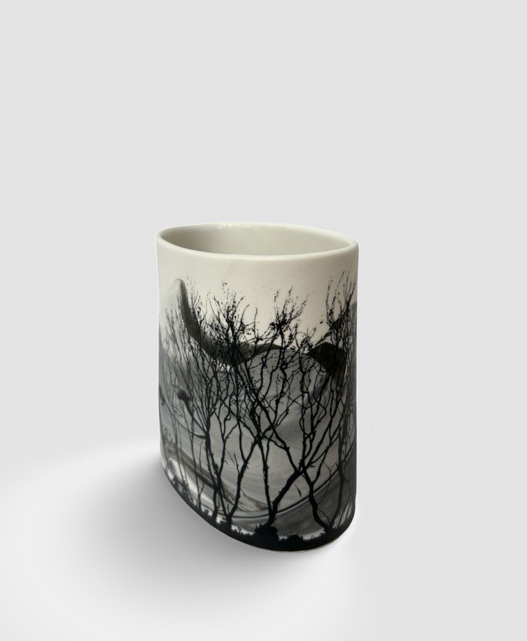 Image of After Fire 2 | Sandra Black