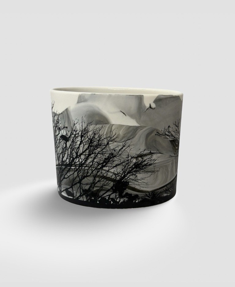 Image of After Fire 2 | Sandra Black
