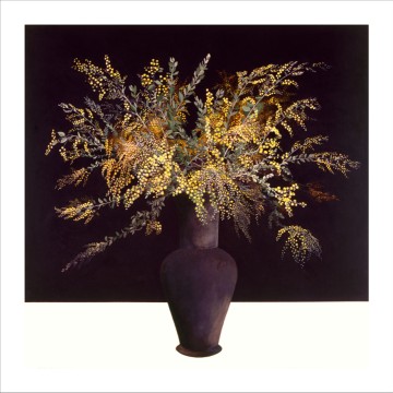 Image for Archival Print | Still Life: Wattle