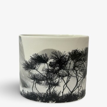 Image for Growth 1  | Sandra Black
