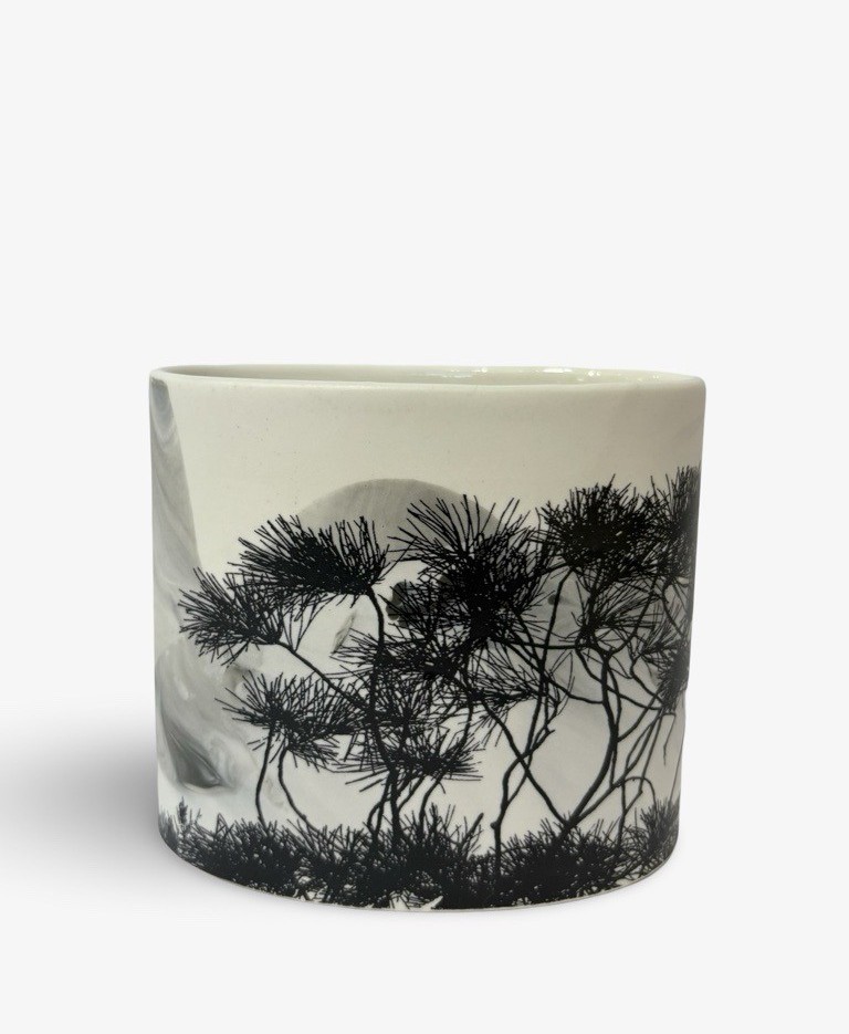 Image of Growth 1  | Sandra Black