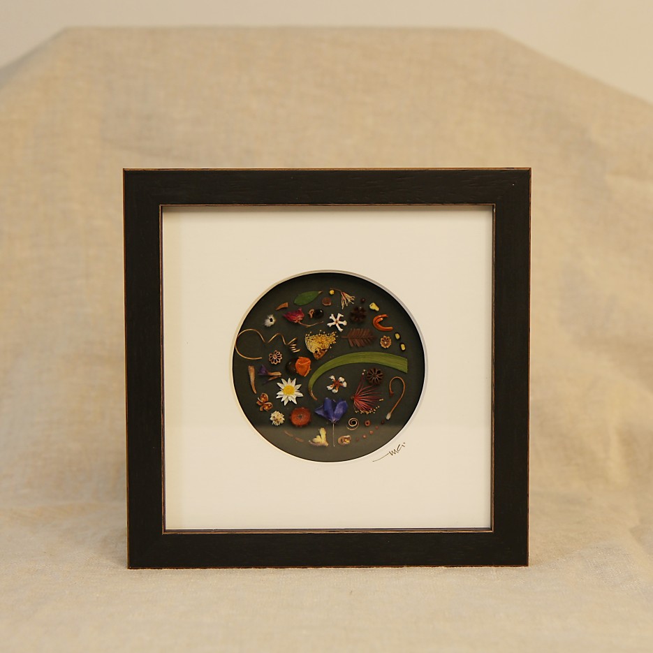 Image of Exhibition Medium Flowers & Seeds II