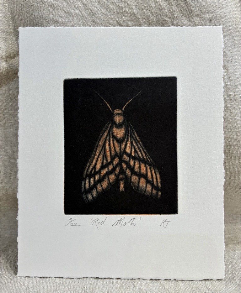 Image of TK Print Red Moth 5/22 Mezzotint 320