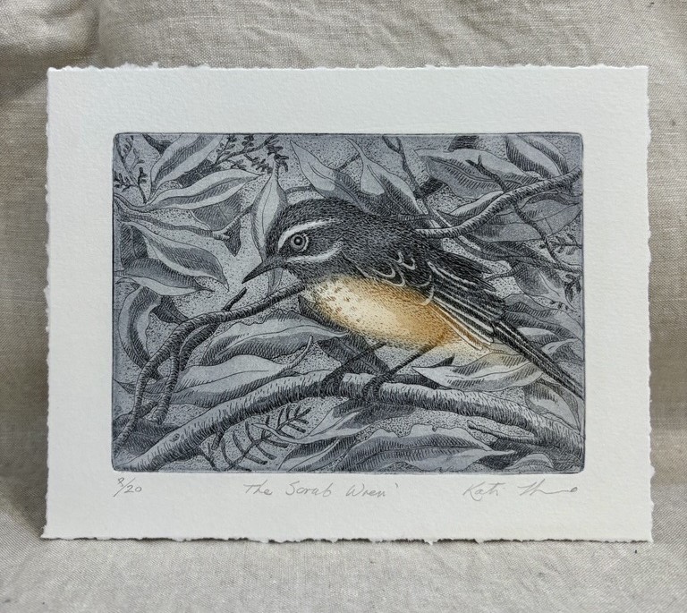 Image of TK Print The Scrub Wren 8/20 Etching 320