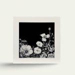 Product by Jocelyn Gregson