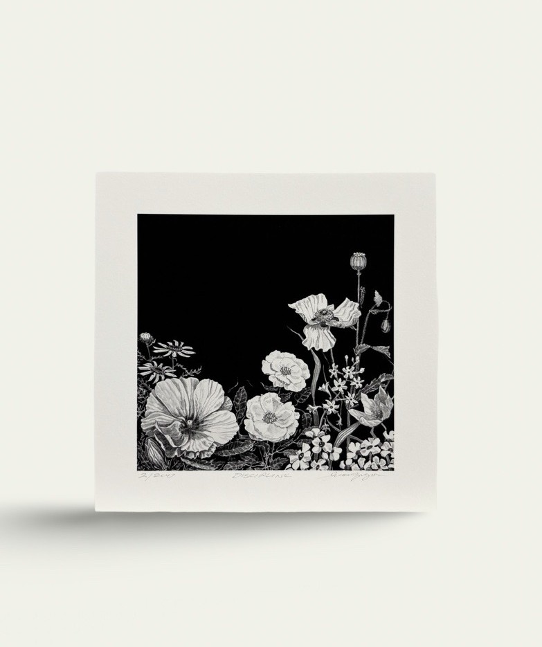 Image of Archvial Print | Discipline Mini R