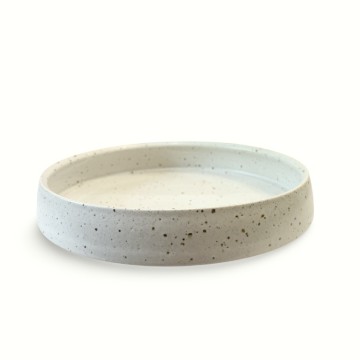 Image for SS Tray | Speckle Glaze