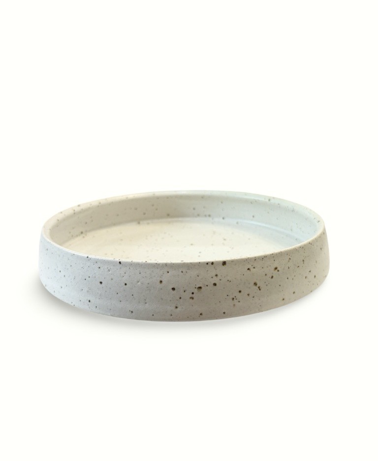 Image of SS Tray | Speckle Glaze
