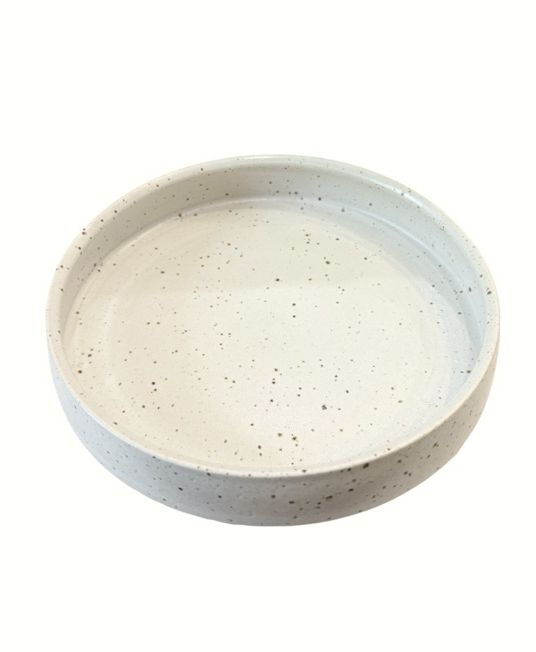 Image of SS Tray | Speckle Glaze