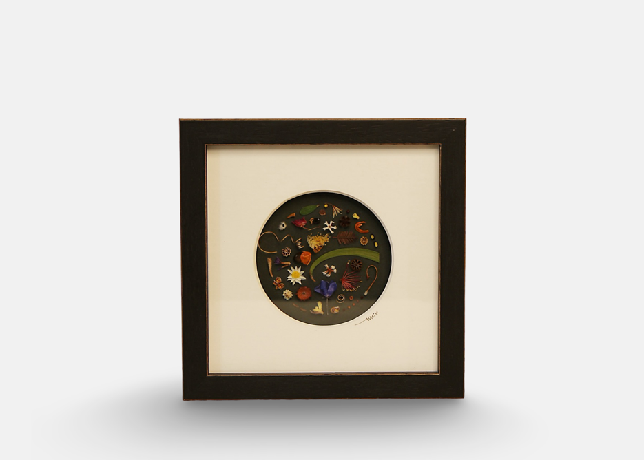 Image of Exhibition Medium Flowers & Seeds II