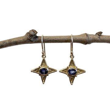 Image for PS Earrings 9kt Gold Stars w Aust. Sapphires