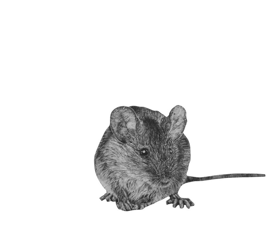 Image of Mouse Wall Decal ALR-MOUS3