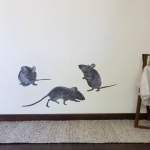 Product by Anna Louise Richardson