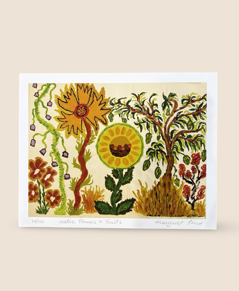 Image of Juluwarlu Giclee Print - Native Flowers + Fruit | Margaret Read