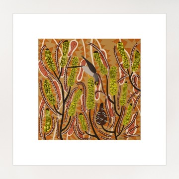 Image for Candlestick Banksia Print | Helen Ansell