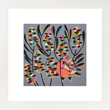 Image for Colours of the Gouldian Finch Print | Helen Ansell