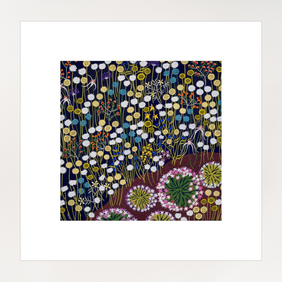 Image of Desert Bloom Print | Helen Ansell