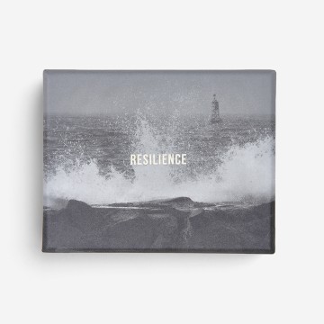 Image for The School of Life | Resilience