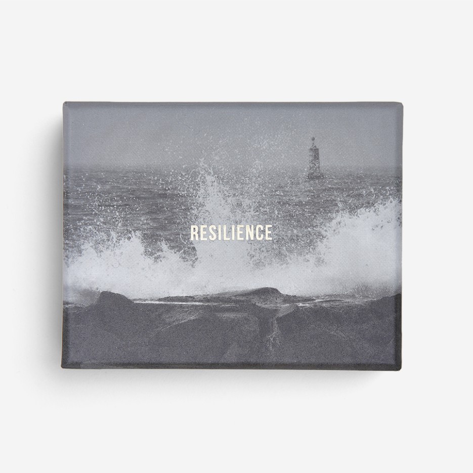 Image of The School of Life | Resilience