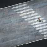 Product by Shaun Tan