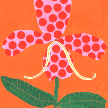 Image for Spotty Orchids | Digital Print A3