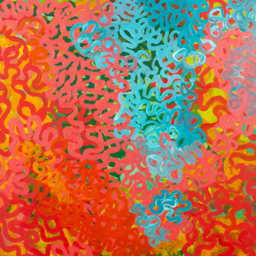 Image for Juluwarlu Small Scarf - Many Rivers