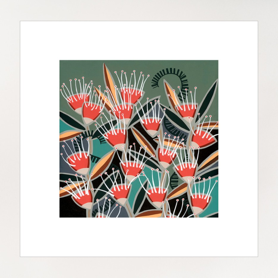 Image of Hakea Heaven Print | Helen Ansell