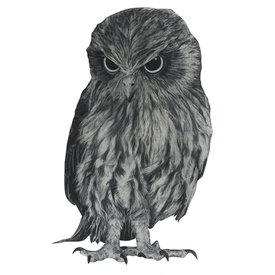 Image of Owl Wall Decal ALR-OWL