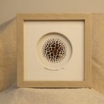 Product by Meagan Gardiner