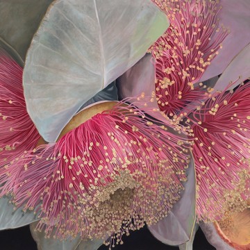 Image for Macrocarpa Meditation 20x28cm | Stacy Gardoll