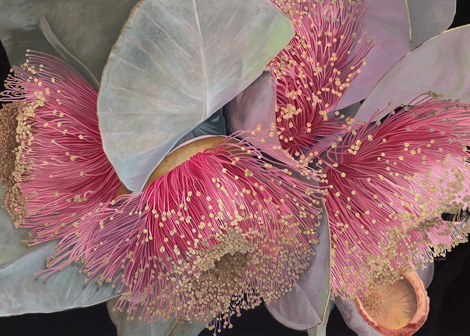 Image of Macrocarpa Meditation 20x28cm | Stacy Gardoll