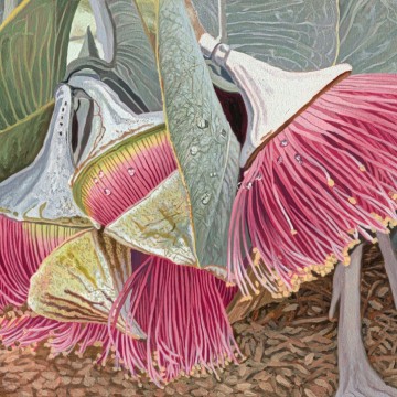 Image for Rhodanthas in a Row 20x30cm | Stacy Gardoll