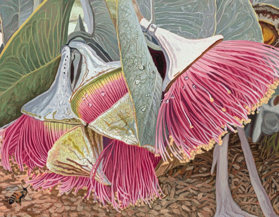 Image of Rhodanthas in a Row 20x30cm | Stacy Gardoll