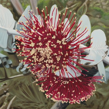 Image for Rubies and Gold 30x30cm | Stacy Gardoll