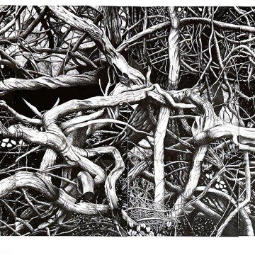Image for Dancing in the Thicket (unframed)