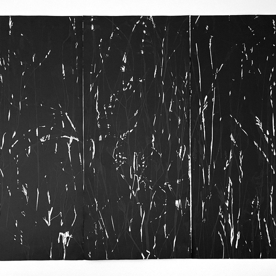 Image of Kangaroo Bay Intimations