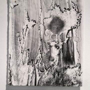 Image for Plastic Imprint II