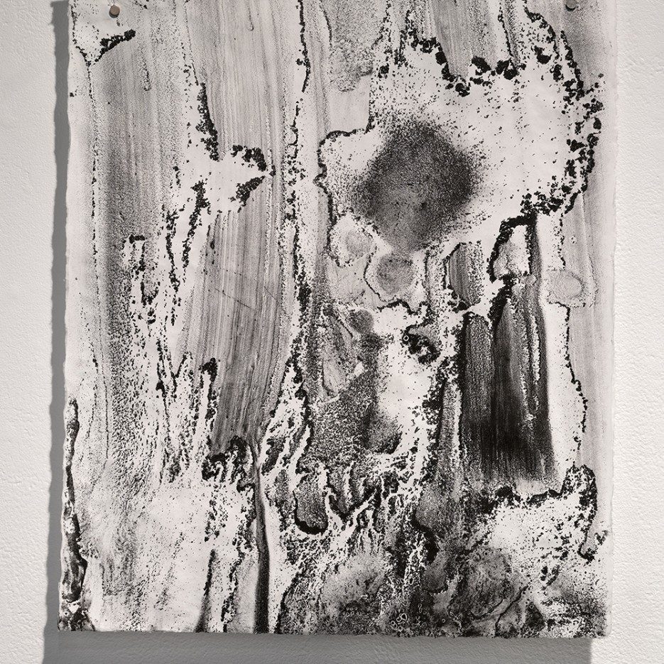 Image of Plastic Imprint II