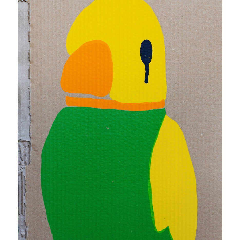 Image of Not Your Parrot